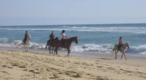 Image of Blue Ocean