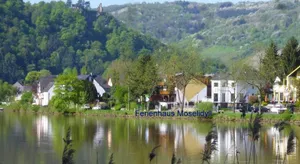 Image of Moselidyll