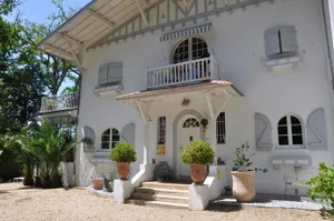 Image of Nere Chocoa
