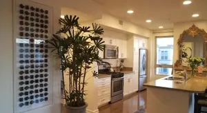 Image of Penthouse Dreams