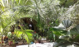 Image of Sea Breeze Garden