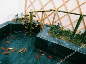 Image of Donglai Courtyard Inn