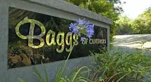 Image of The Odd Gecko B&B