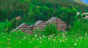Image of Ferienwohnung Wipfelglück