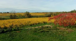 Image of Le Logis Solidaire