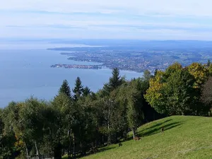 Image of altstadtherz