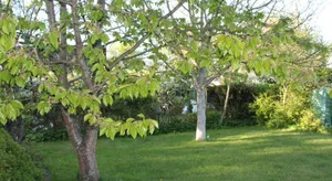 Image of Lutzi´s Ferienwohnung