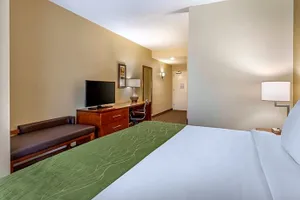 Image of Comfort Inn Florence