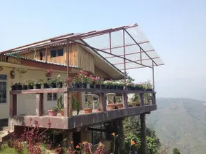 Image of Birdsong Home