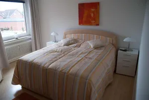Image of Aaltine 1