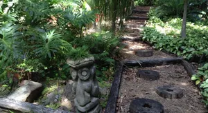 Image of 'The Tree House.' Treetop living near the ocean, Coolum Beach, QLD, Australia
