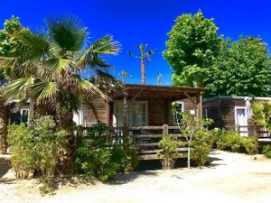 Image of Rent Paradise