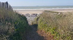 Image of Le belouga