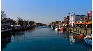 Image of Meer Flair