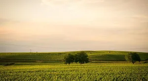 Image of Ferienwohnen im Ziegelfeld