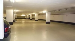 Image of Seegras