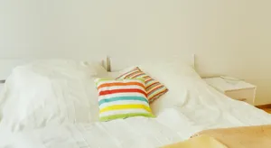 Image of FeWo-Regenbogen-Dresden