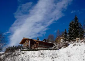 Image of Chalet VIE