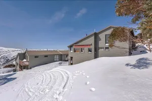 Image of Razorback 3 - MHA