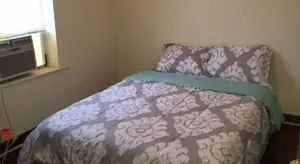 Image of Clean, spacious, inexpensive queen BR #1