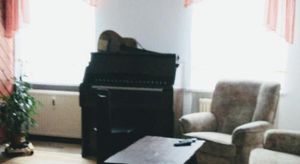 Image of Ferienwohnung Weiß
