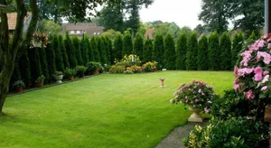 Image of Ferienwohnung Bünger