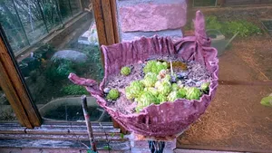 Image of Le jardin des secrets
