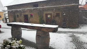 Image of Der Patrizierhof - Weingut Gasthof Hotel - Familie Grebner