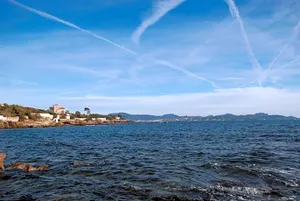 Image of La Javanaise