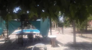 Image of La Toscana