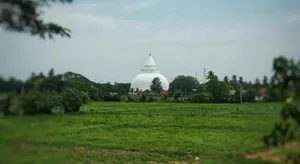 Image of New Cormorant Lake Resort & Yala Safari Place