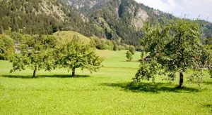 Image of Haus Claudia Lipp