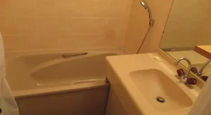 Image of Location appartement Saint Francois Longchamp Saint-Francois-Longchamp