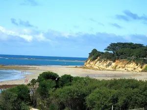 Image of At the Gallery