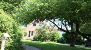 Image of Feldlerche