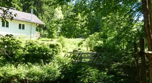 Image of Apartment Schwarzwald Total