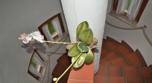 Image of Ferienwohnung Vesna & Alex