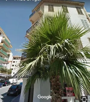 Image of Ice coeur de Cannes