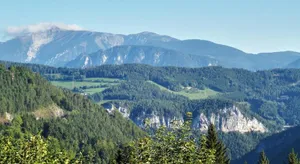 Image of Waldnest am Semmering