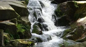 Image of Waldblick - Bad Harzburg - Schwimmbad und Sauna