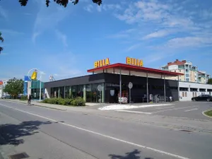 Image of Orchidee