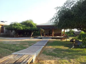 Image of Leopard Corridor Yala