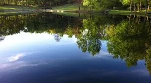 Image of Dogwood Springs Lodgings