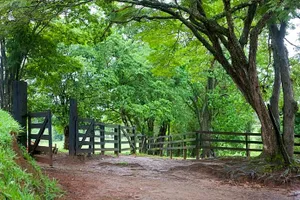 Image of Pousada Fazenda Pinhalzinho