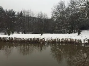 Image of Le Clos Des Ecureuils Epinal