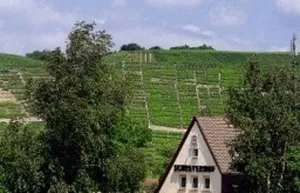 Image of Schreyerhof Landgasthaus