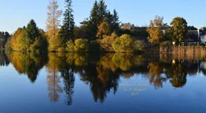 Image of Le Clos des Agapanthes
