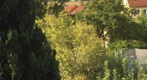 Image of Just like home