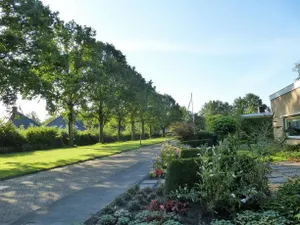 Image of Achter de Beukenboom