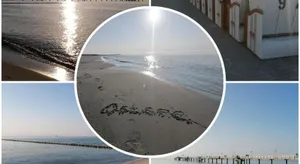 Image of Ostsee-Wiesenpieper (Graal-Müritz)